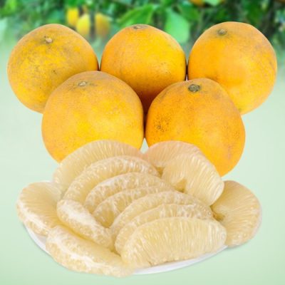 CÂY GIỐNG BƯỞI DIỄN