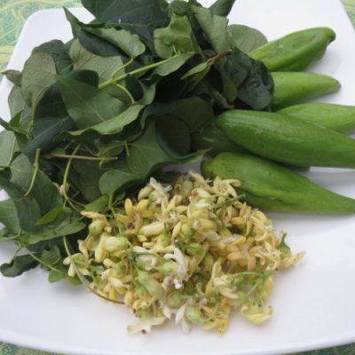 cây quả mỏ (cây mỏ quạ)
