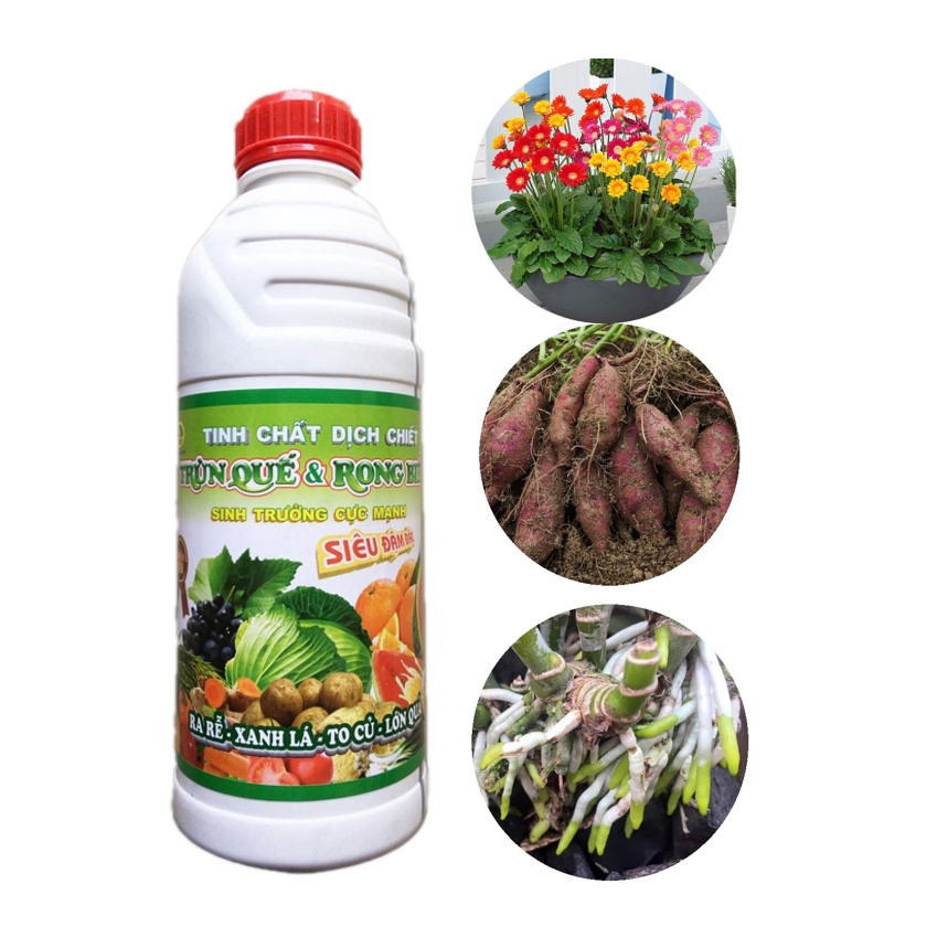 Tinh chất dịch chiết trùn quế và rong biển. Sinh trưởng cực mạnh cho Cây trồng chai 1lít Tinh chất dịch chiết trùn quế và rong biển. Sinh trưởng cực mạnh cho Cây trồng chai 1lít