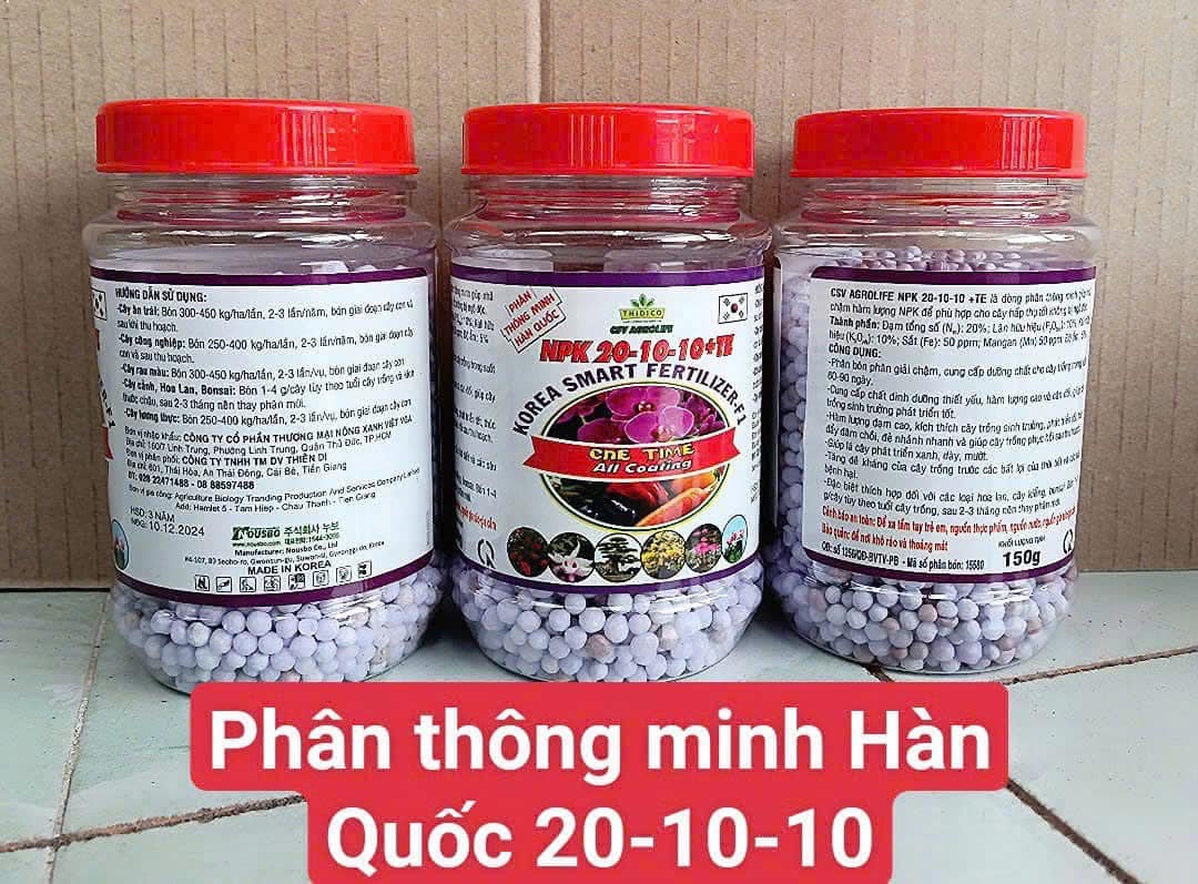 Phân thông minh tan chậm Hàn Quốc 90 ngày 15-15-15 loại 150gr Phân thông minh tan chậm Hàn Quốc 90 ngày 15-15-15 loại 150gr