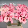 củ giống hoa rum ngoại Calla Lily 'Captain Rosette' size 20/22