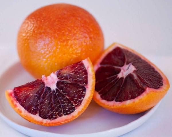 cây giống "cam máu (Blood Orange) " nhập khẩu cây giống "cam máu (Blood Orange) " nhập khẩu