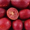 cây giống chanh máu nhập khẩu