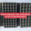Khay ươm hạt giống, dâm cành 200 lỗ, 128 lỗ, 105 lỗ, 84 lỗ, 72 lỗ, 50 lỗ, 21 lỗ đủ loại