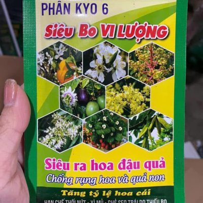 Phân bón Kali Bo Vi Lượng 25gr Kích thích ra hoa đậu quả đậu traí ,CHỐNG rụng hoa và quả non ,Tăng tỷ lệ hoa cái