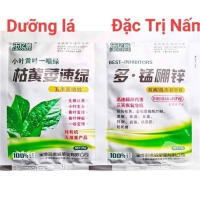 cặp đôi DƯỠNG LÁ+ ĐẶC TRỊ NẤM Vừa giúp mầm to mập, chống nấm, thối nhũn ..
