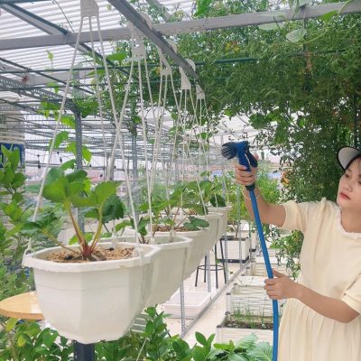 Chậu nhựa treo lục giác màu trắng loại dày 23x14 cm có kèm dây treo ban công - chậu lục giác
