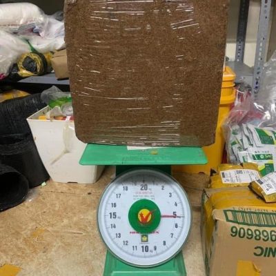Bánh mụn dừa ép 5kg 95% mụn, nở ra 70-75 lit, dùng trồng rau, ươm cây con với phối trộn trồng cây hoa kiểng