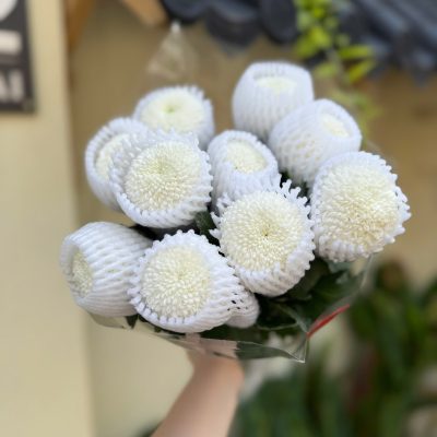 HOA CÚC PINGPONG TRẮNG