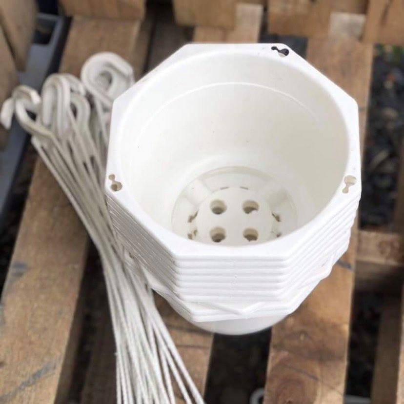 Chậu nhựa treo lục giác màu trắng loại dày 23x14 cm có kèm dây treo ban công - chậu lục giác Chậu nhựa treo lục giác màu trắng loại dày 23x14 cm có kèm dây treo ban công - chậu lục giác