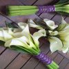 Củ giống Hoa Rum (Calla Lily) Trắng dòng cao chuyên cắt cành