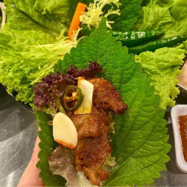 Cây Giống lá mè Hàn Quốc Cây Giống lá mè Hàn Quốc