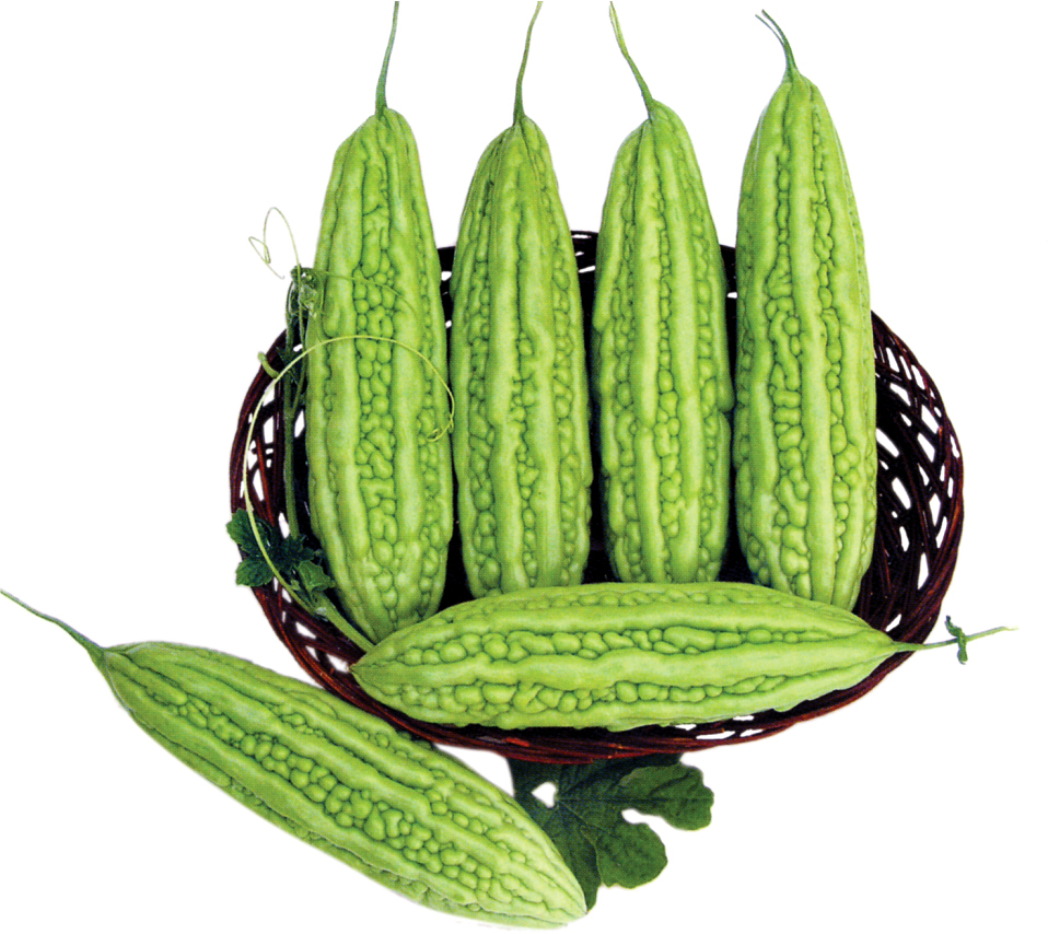 Cây Giống khổ qua xanh nhạt Cây Giống khổ qua xanh nhạt