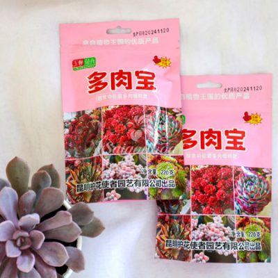 Phân Bón Tan Chậm Kích Màu Sen Đá