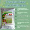 Phân bón Super Lân Vôi Khử Trùng Và Xử Lý Đất 2KG - Cải tạo đất, phòng bệnh cho cây, cung cấp canxi -khử chua hạ phèn giảm mặn đất trồng cây