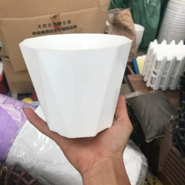 Chậu Nhựa Để Bàn Kim Cương Trắng 15 x 12 LOẠI 1 DÀY ĐẸP Chậu Nhựa Để Bàn Kim Cương Trắng 15 x 12 LOẠI 1 DÀY ĐẸP