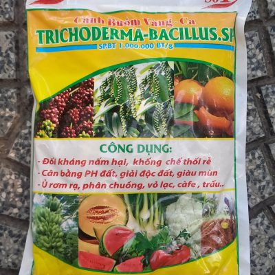 Chế phẩm Cánh Buồm Vàng – Ca sử dụng nấm đối kháng Trichoderma – Bacillus