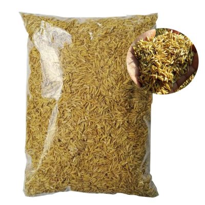VỎ TRẤU TƯƠI