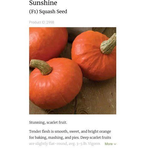 Hạt Giống Bí Đỏ Nhật Sunshine F1 Hạt Giống Bí Đỏ Nhật Sunshine F1