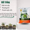 đất trồng sen đá, đất trồng xương rồng, túi 5dm3 (khoảng 3kg) giá thể trồng sen đá, đất trồng sen đá trộn sẵn, cây mọng nước.