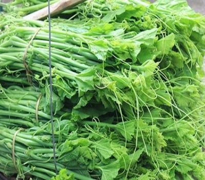 Hạt Giống Bí Siêu Ngọn (Cucurbita maxima) -1kg