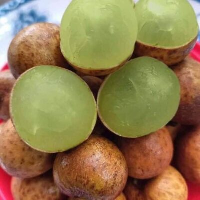 cây giống " nhãn lá dứa cổ thơm " - nhãn long tiêu xanh