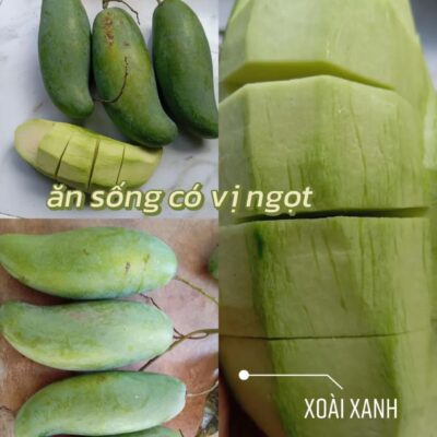 cây giống " Xoài xanh ăn sống mà ngọt" Nhập Khẩu