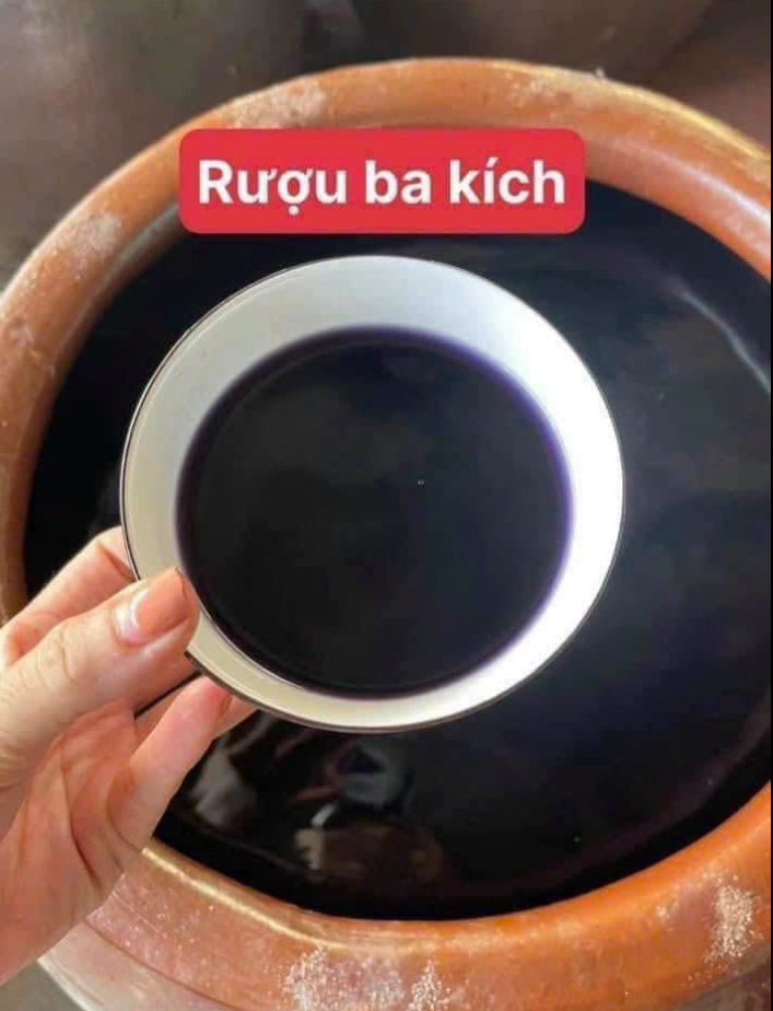 Rượu NGÂM BA KÍCH TÍM MEN LÁ HẠ THỔ - 1 LÍT Rượu NGÂM BA KÍCH TÍM MEN LÁ HẠ THỔ - 1 LÍT