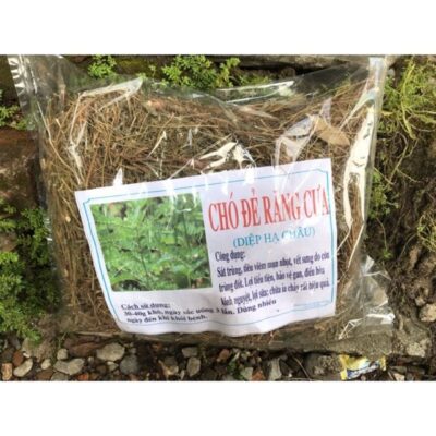 Cây chó đẻ răng cưa khô (diệp hạ châu) - 1kg