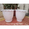 Chậu nhựa trồng cây hoa hồng dây 320