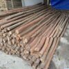 Cọc gỗ, Cây chống gỗ keo tươi, khô