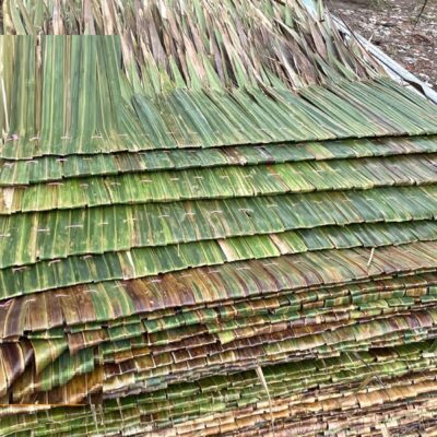 lá dừa nước lợp mái nhà