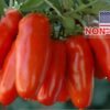 Hạt Giống Cà Chua Cherry Dài SanMazano