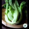 Hạt Giống Cải Bẹ Dưa Muối (Brassica juncea)