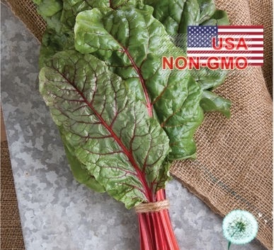 Hạt Giống Cải Ngọt Thụy Sỹ - Đỏ Đẫm Ruby (Beta vulgaris) Hạt Giống Cải Ngọt Thụy Sỹ - Đỏ Đẫm Ruby (Beta vulgaris)