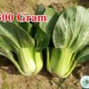 Hạt Giống Cải Thìa Cọng Xanh F1 To 300Gram TG70