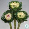 Hạt Giống Cải Xoăn Kale Cắt Cành White Purple