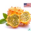 Hạt Giống Dưa Chuột Gai Chịu Nhiệt Kiwano (Cucumis metuliferus)