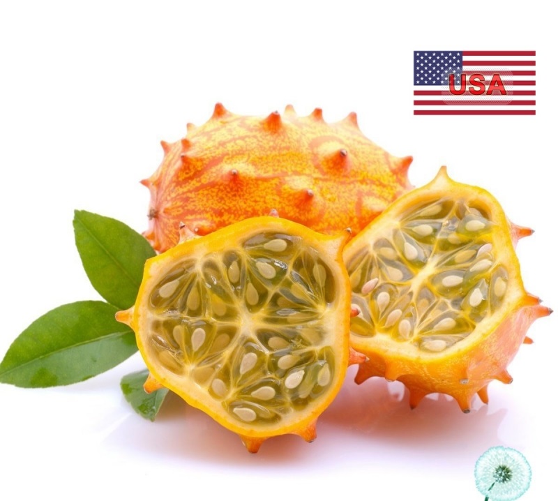 Hạt Giống Dưa Chuột Gai Chịu Nhiệt Kiwano (Cucumis metuliferus) Hạt Giống Dưa Chuột Gai Chịu Nhiệt Kiwano (Cucumis metuliferus)