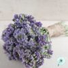 Hạt Giống Hoa Salem Cắt Cành Pastel Blue