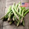 Hạt Giống Rau Măng Tây Washington (Asparagus officinalis)