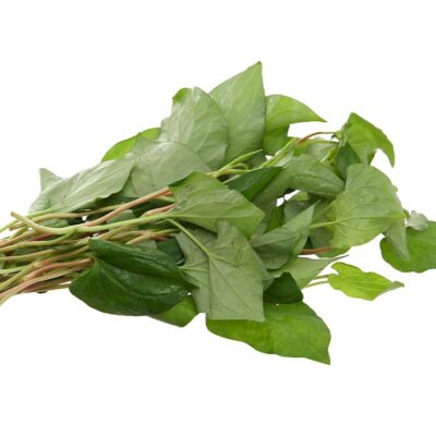 Hạt Giống Rau Dấp Cá
