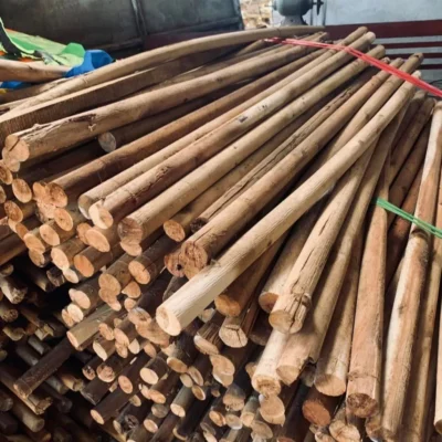 Cọc Gỗ Keo Tròn Dài 130cm Đường Kính 30mm 40mm Gỗ Lõi Keo Tròn Làm Giàn Cây Leo Deco Trang Trí Sân Vườn