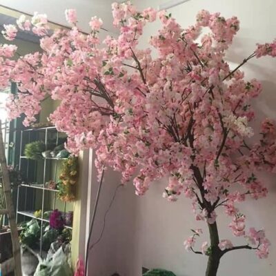 Cây Hoa Anh Đào Giả  Màu Hồng