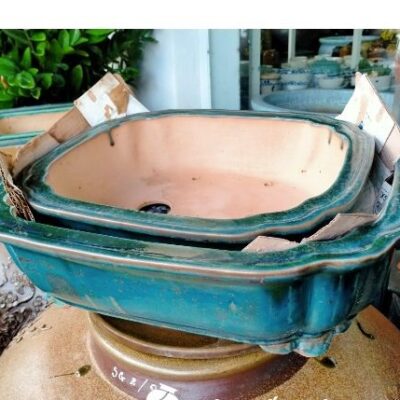 Chậu áng mây
