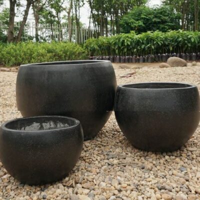 Chậu Đá Mài Trứng Lùn