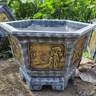 Chậu Xi Măng Lục Giác 70cm