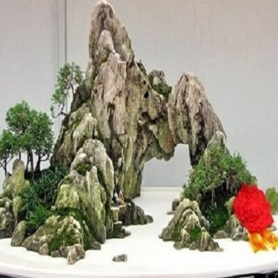 Thi công hòn non bộ mini