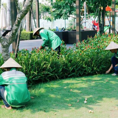 Thi Công Cây Xanh Cảnh Quan