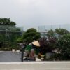 Chuyên Bảo Dưỡng Cảnh Quan
